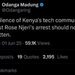 Techie Rose Njeri’s persecution by government